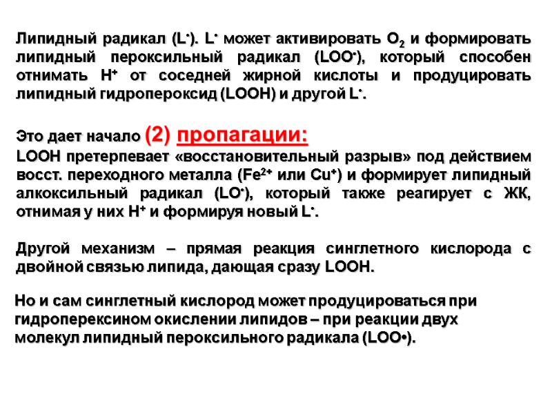 Липидный радикал (L•). L• может активировать O2 и формировать липидный пероксильный радикал (LOO•), который